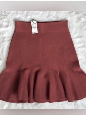 NWT Express Rust-Tone Flared Knit Skirt